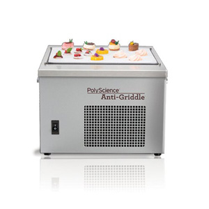 Polyscience Anti Griddle