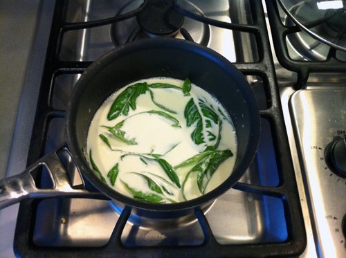 Basil Panna Cotta Steeping