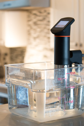 Anova Sous Vide Immersion Circulator Review