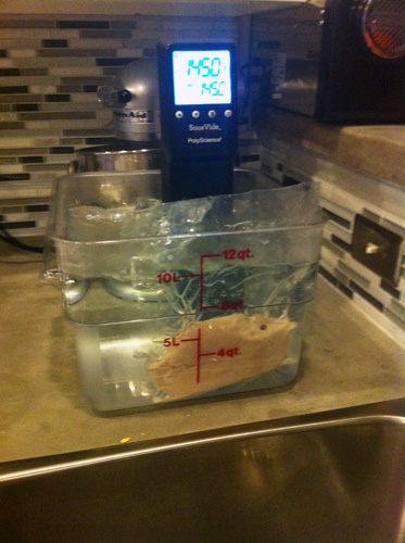 Sous Vide Chicken