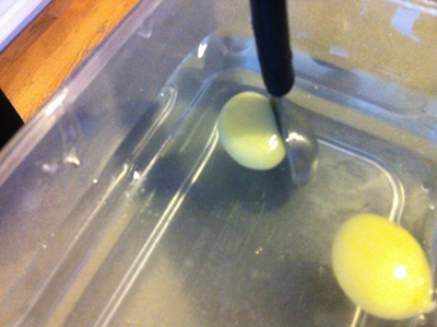 Forming Bearnaise Spheres