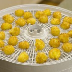 Bearnaise Spheres in Dehydrator